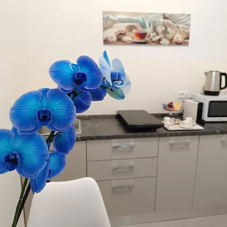 Fioriris Del * 스트레사